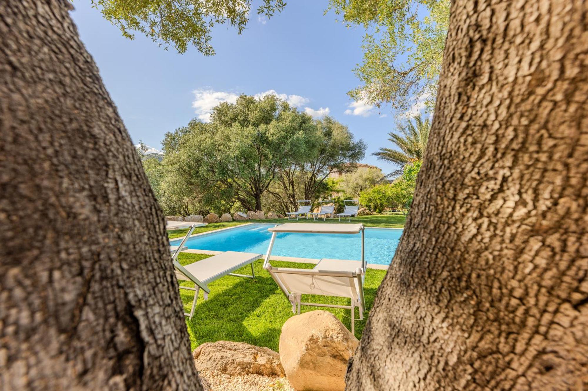 Appartement Stazzo San Teodoro L'Olivastro Piscina Condivisa Extérieur photo